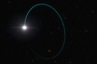 Astronomers Uncover Heaviest Stellar Black Gap within the Milky Manner