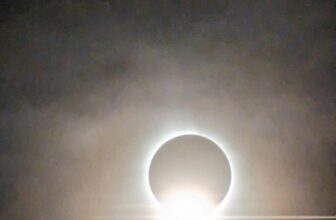 The Little Issues Publication #412 – Life, laughter, and plenty of nice meals!